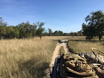 Anti-poaching